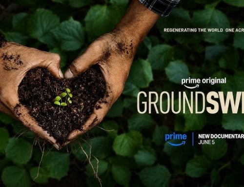 Changing the Planet Through Film: An Interview with the Creators of Prime Video’s “Groundswell”